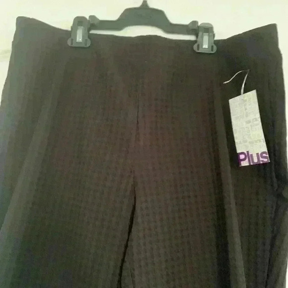 Brand new Dalia pants. Fall season  start - Picture 2 of 6